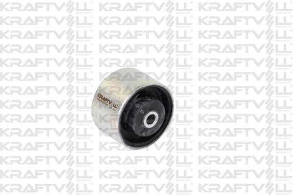 Mounting, engine (10010788)