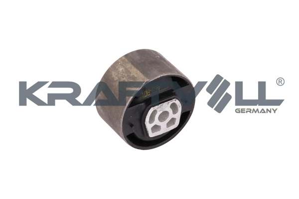 Mounting, engine (10010772)