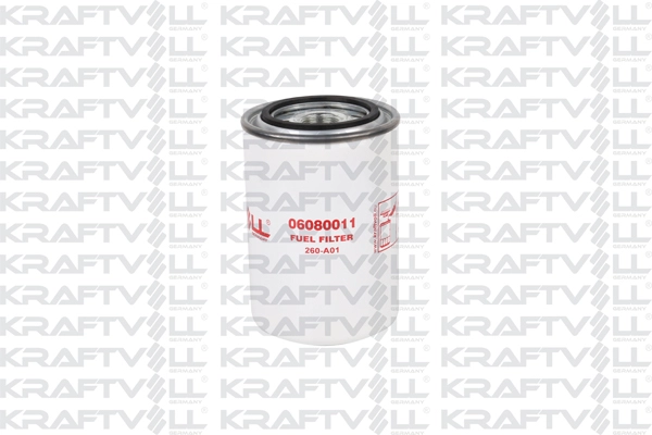 Fuel Filter (06080011)