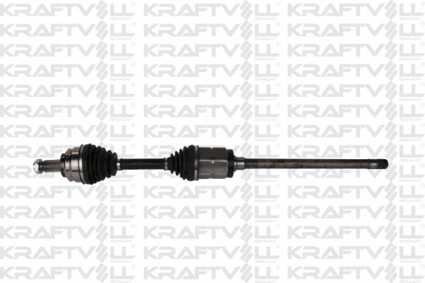 Drive Shaft (01010183)