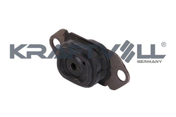 Mounting, engine (10010881)