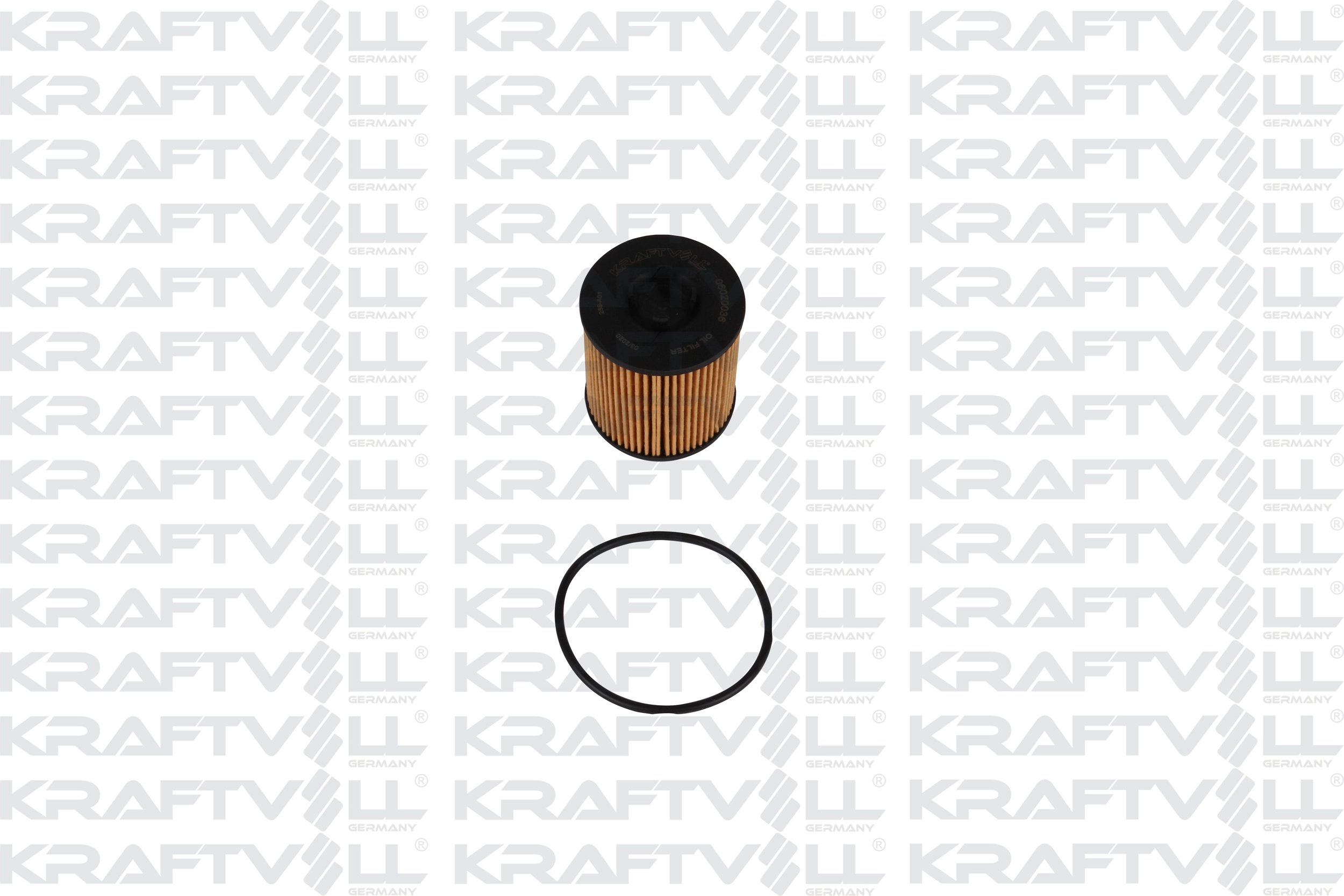 Oil Filter (06020036)