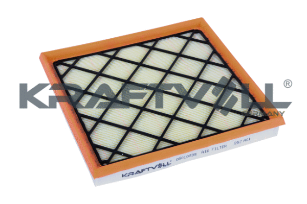 Air Filter (06010039)