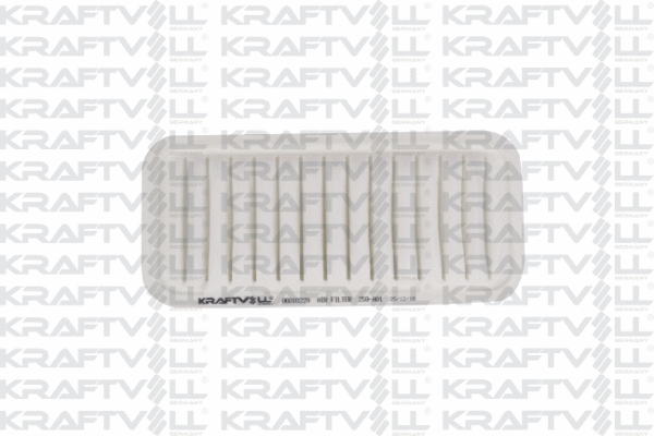Air Filter (06010229)