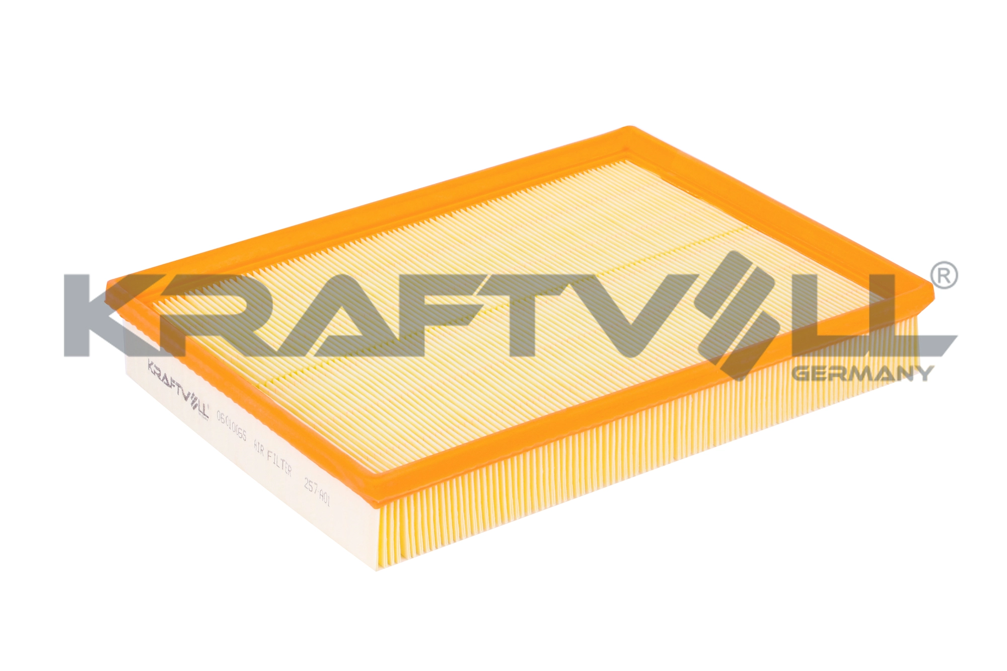 Air Filter (06010065)