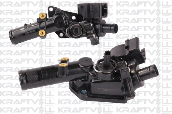 Thermostat, coolant (08100124)