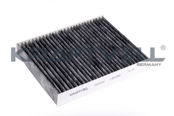 Filter, cabin air (06040054)