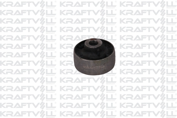 Mounting, control/trailing arm (10050146)