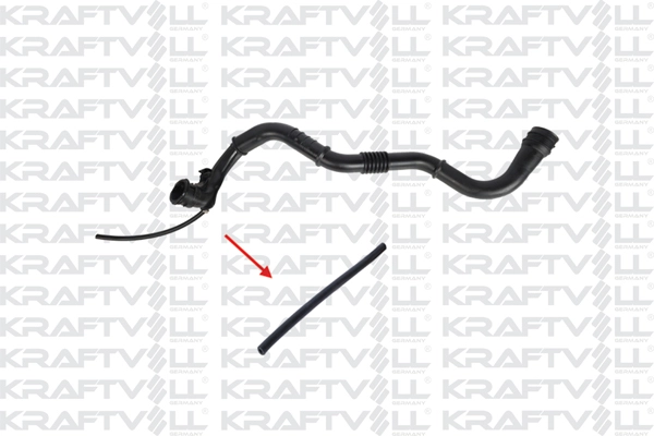 Charge Air Hose (10034848)