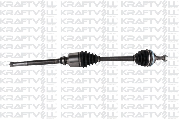 Drive Shaft (01010290)