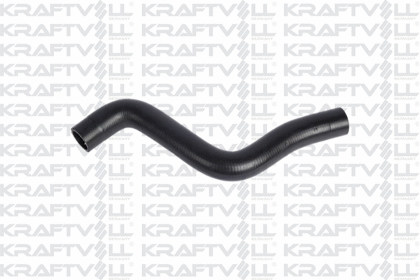 Radiator Hose (10032195)