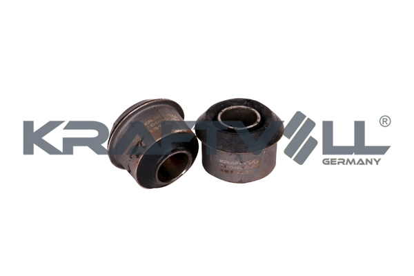 Mounting, engine (10050094)