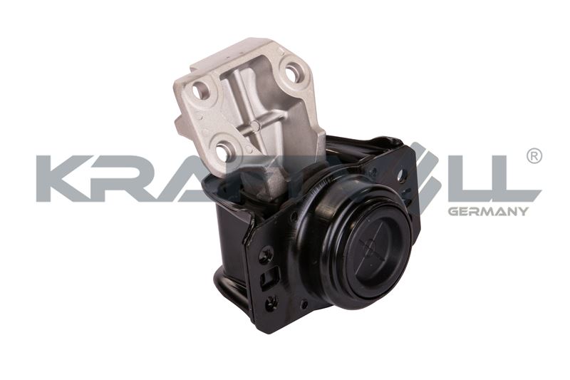 Mounting, engine (10010517)