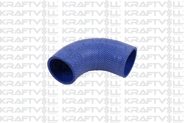 Radiator Hose (10040478)