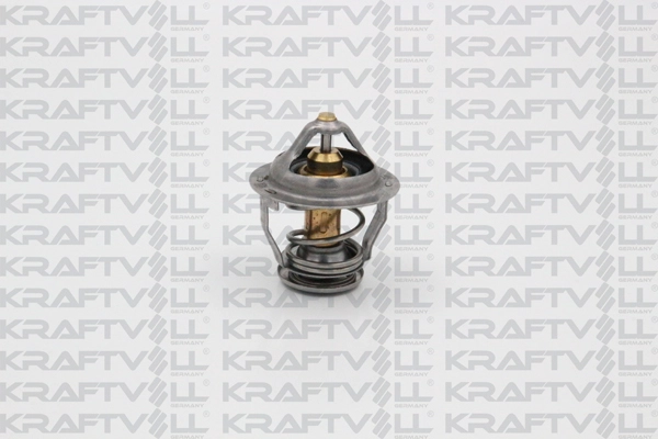 Thermostat, coolant (08110108)