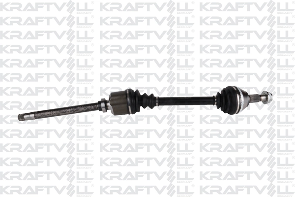 Drive Shaft (01010356)