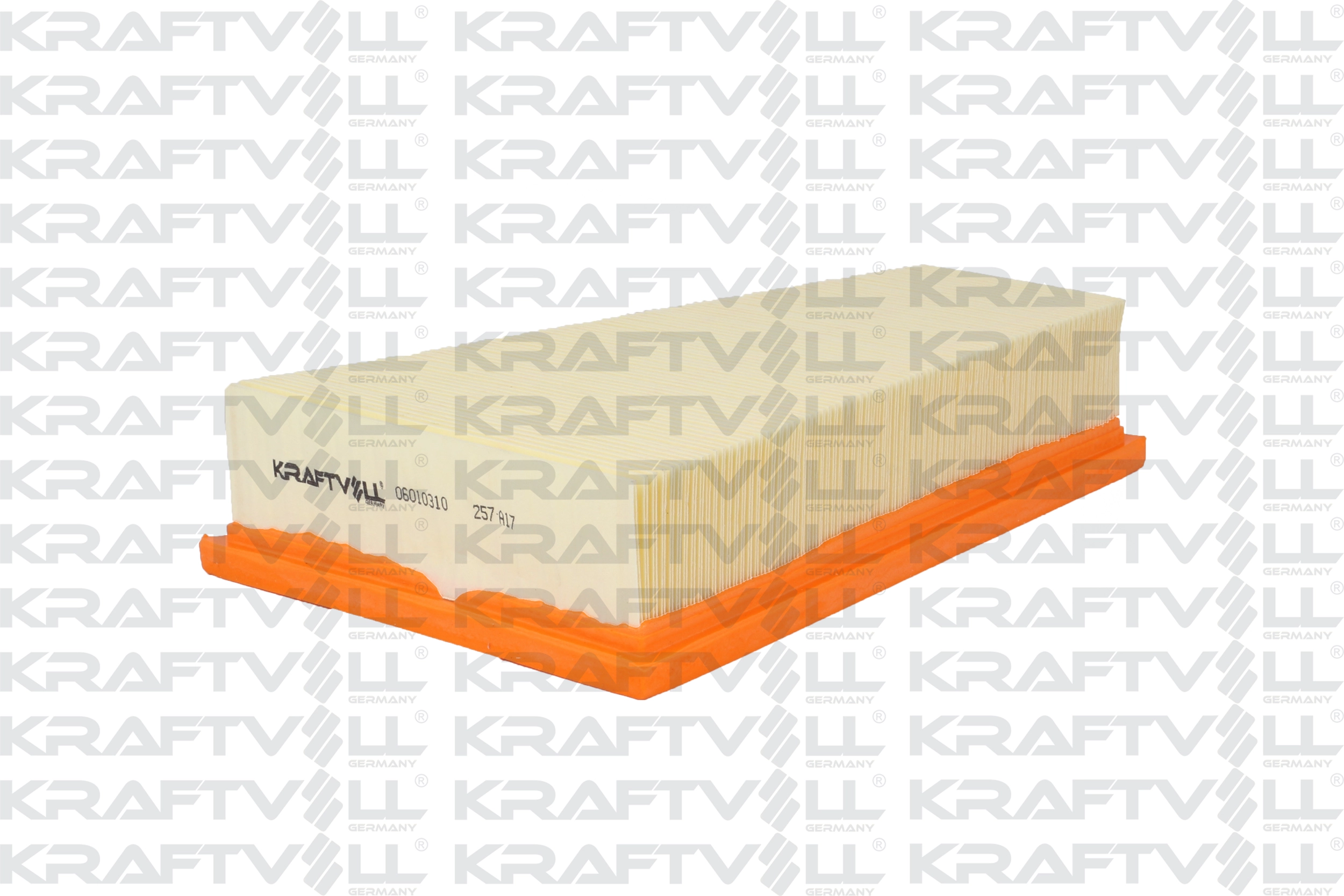 Air Filter (06010310)