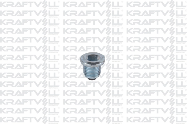 Screw Plug, oil sump (21030410)