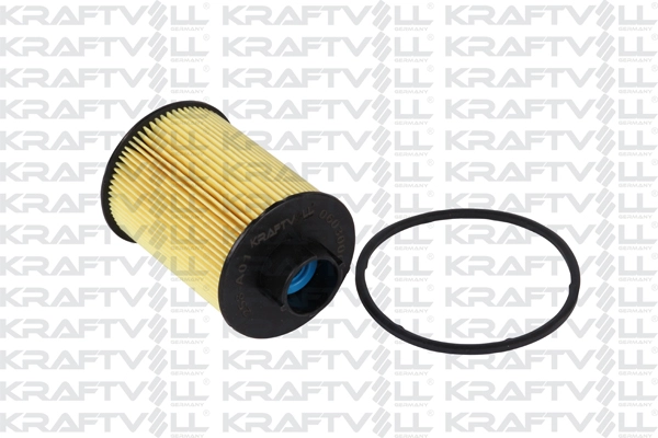 Fuel Filter (06030009)