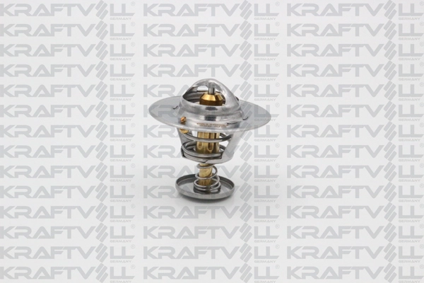 Thermostat, coolant (08110064)