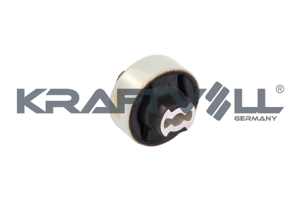 Mounting, control/trailing arm (10050252)