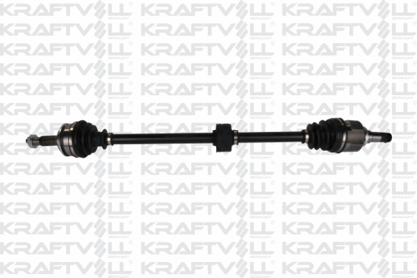 Drive Shaft (01010179)