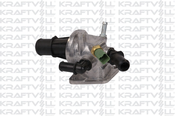 Thermostat, coolant (08100061)