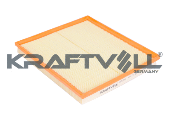 Air Filter (06010062)