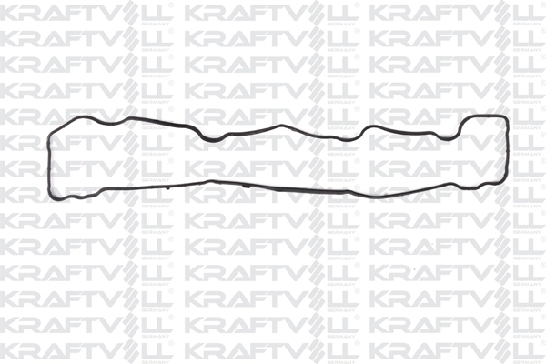 Gasket, cylinder head cover (12010160)