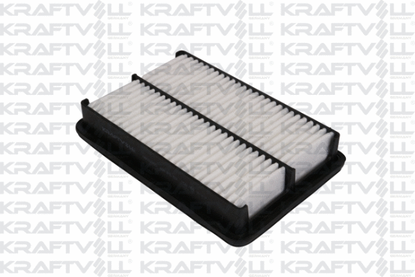 Air Filter (06010265)