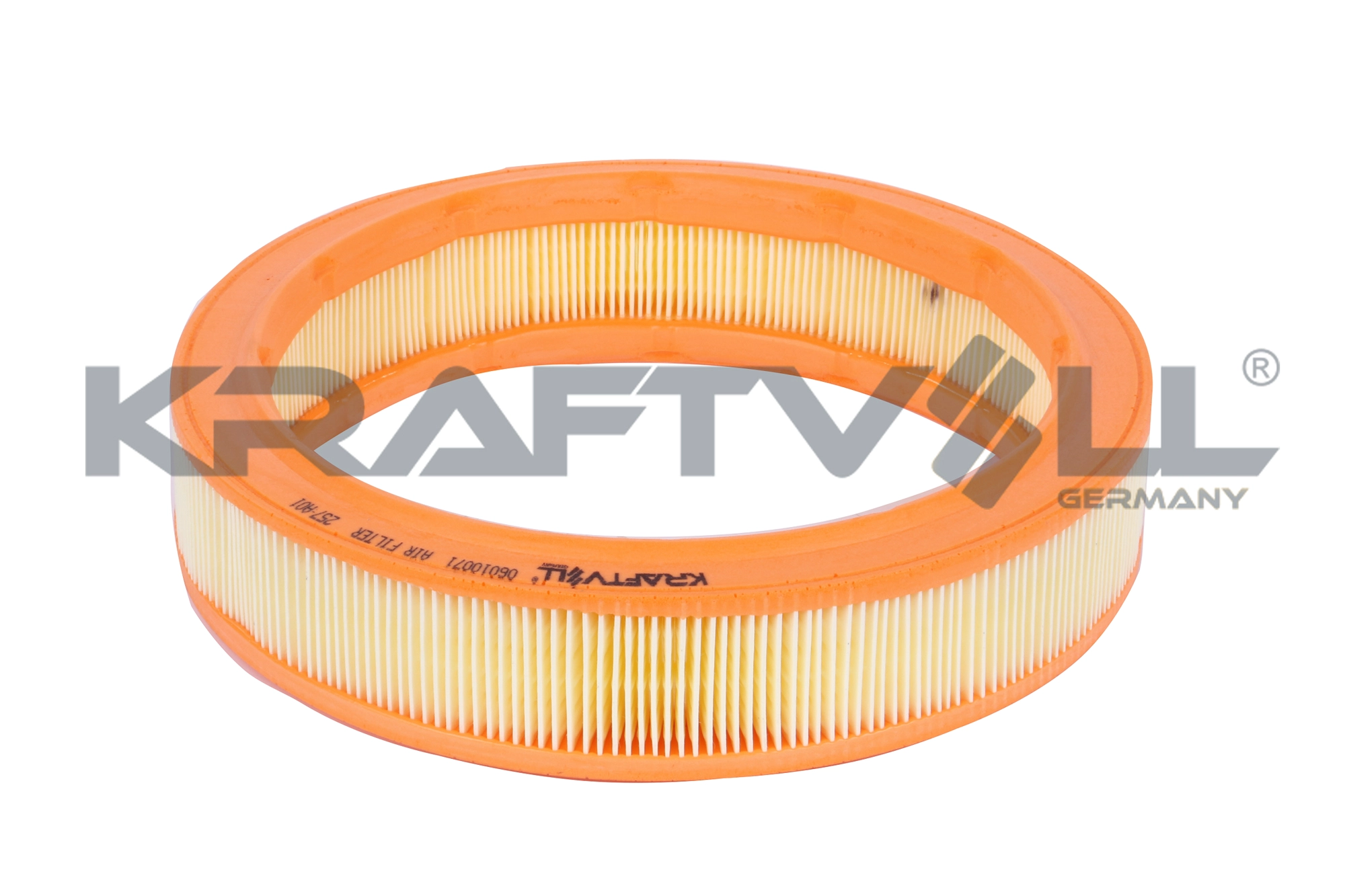 Air Filter (06010071)