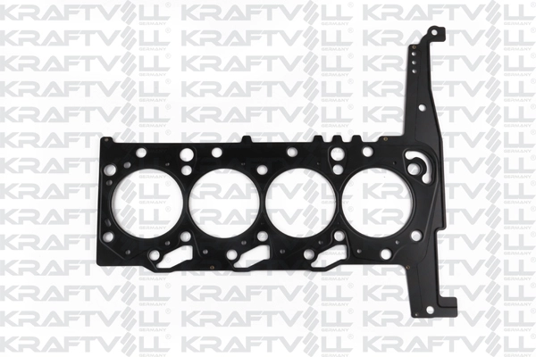 Gasket, cylinder head (12010019)