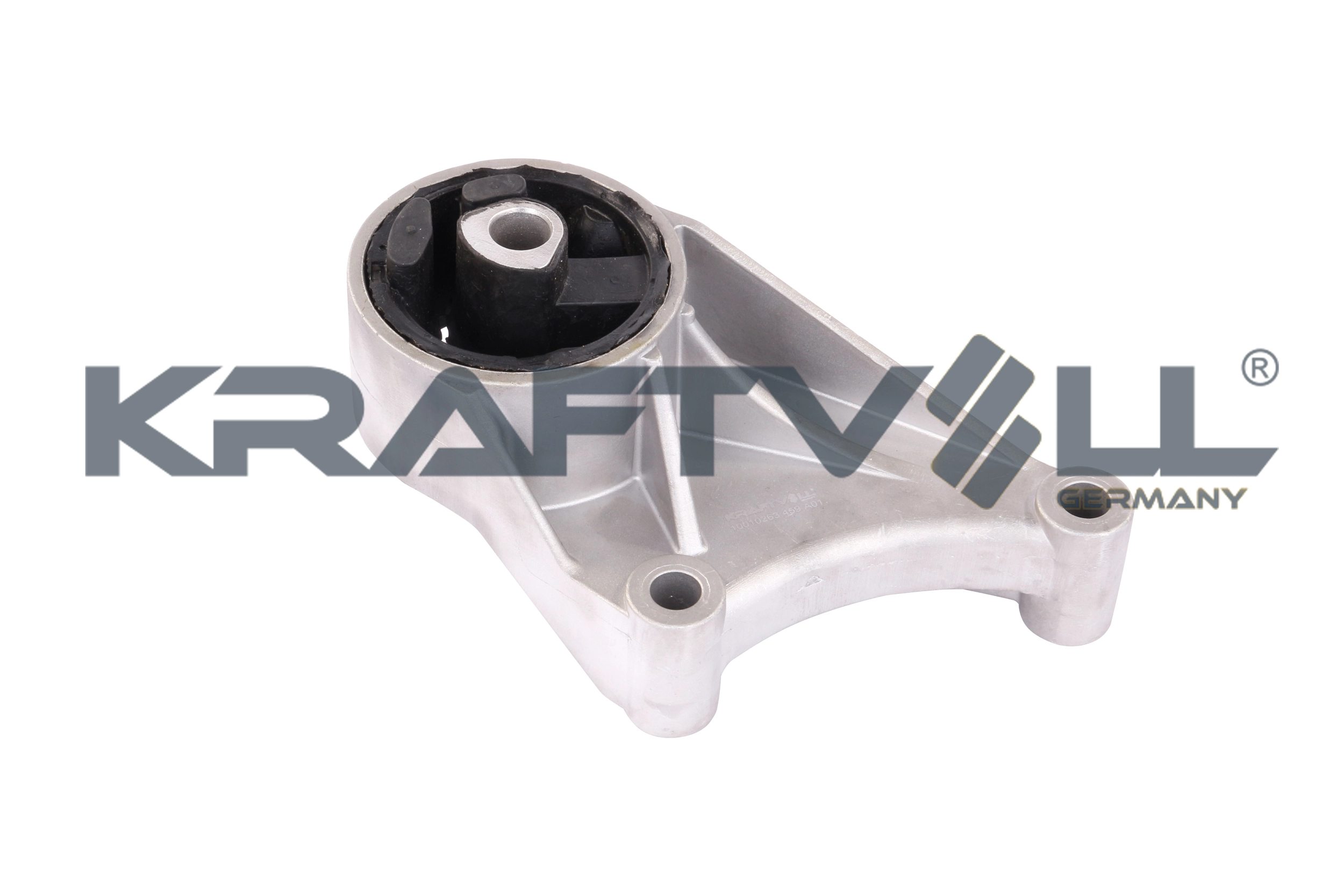 Mounting, engine (10010263)