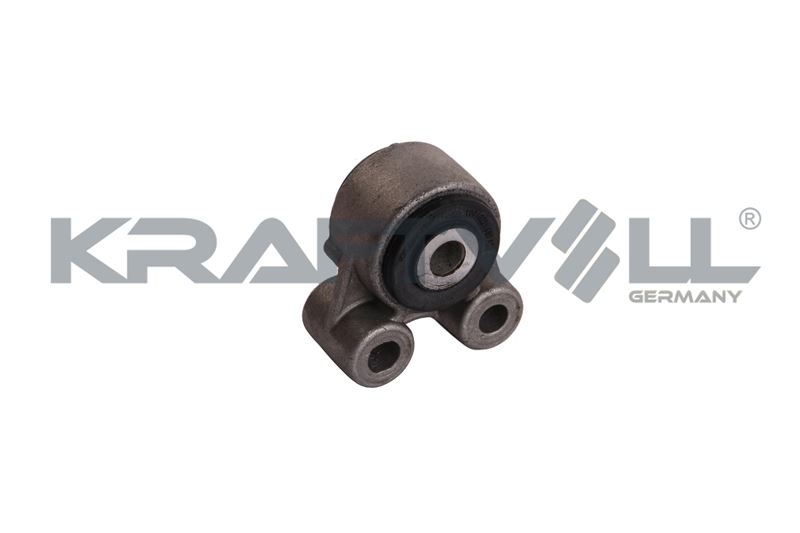 Mounting, engine (10010221)