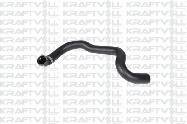 Radiator Hose (10032393)