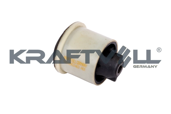 Bushing, axle beam (10010953)
