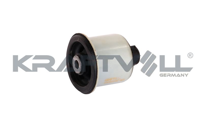 Bushing, axle beam (10050286)