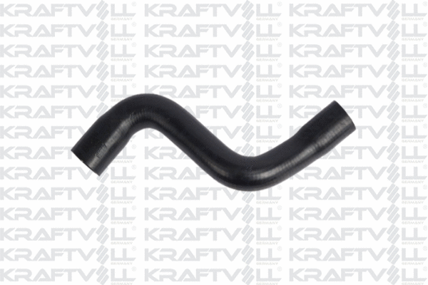 Radiator Hose (10031732)