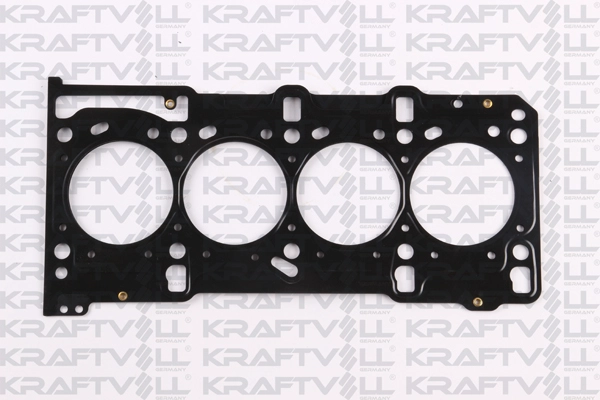 Gasket, cylinder head (12010223)