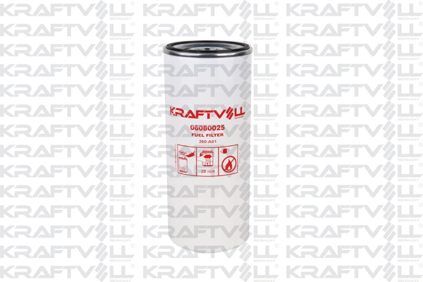 Fuel Filter (06080025)