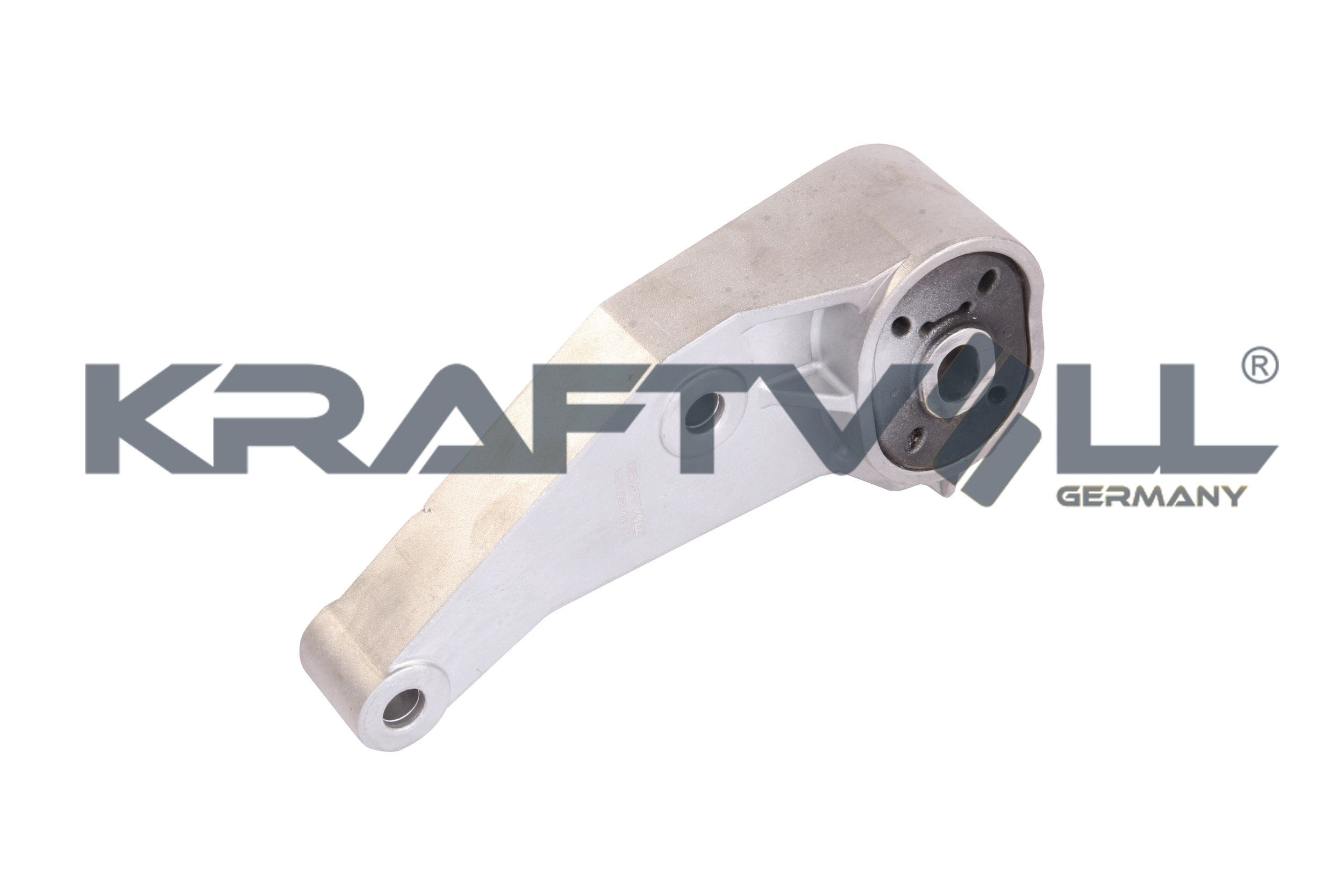 Mounting, engine (10010256)