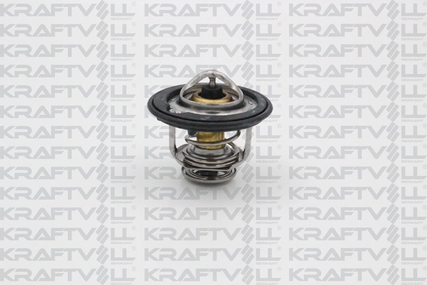 Thermostat, coolant (08110101)