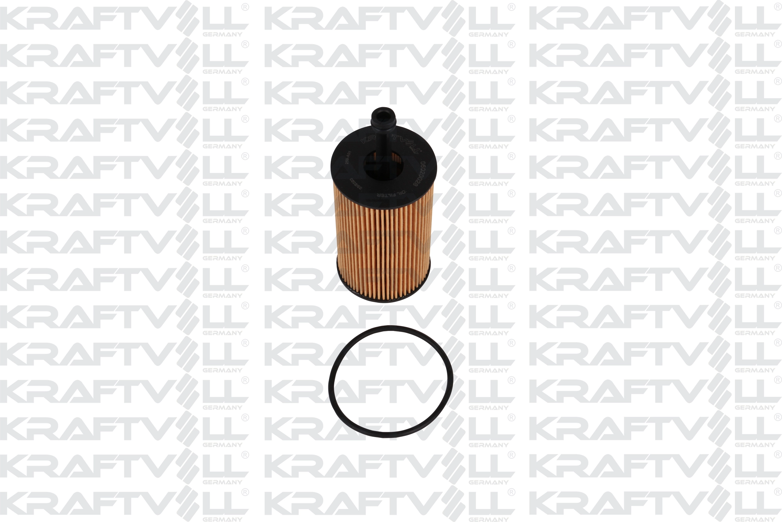 Oil Filter (06020028)