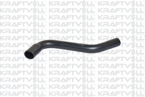 Radiator Hose (10032581)