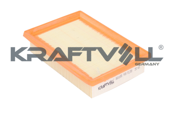 Air Filter (06010055)