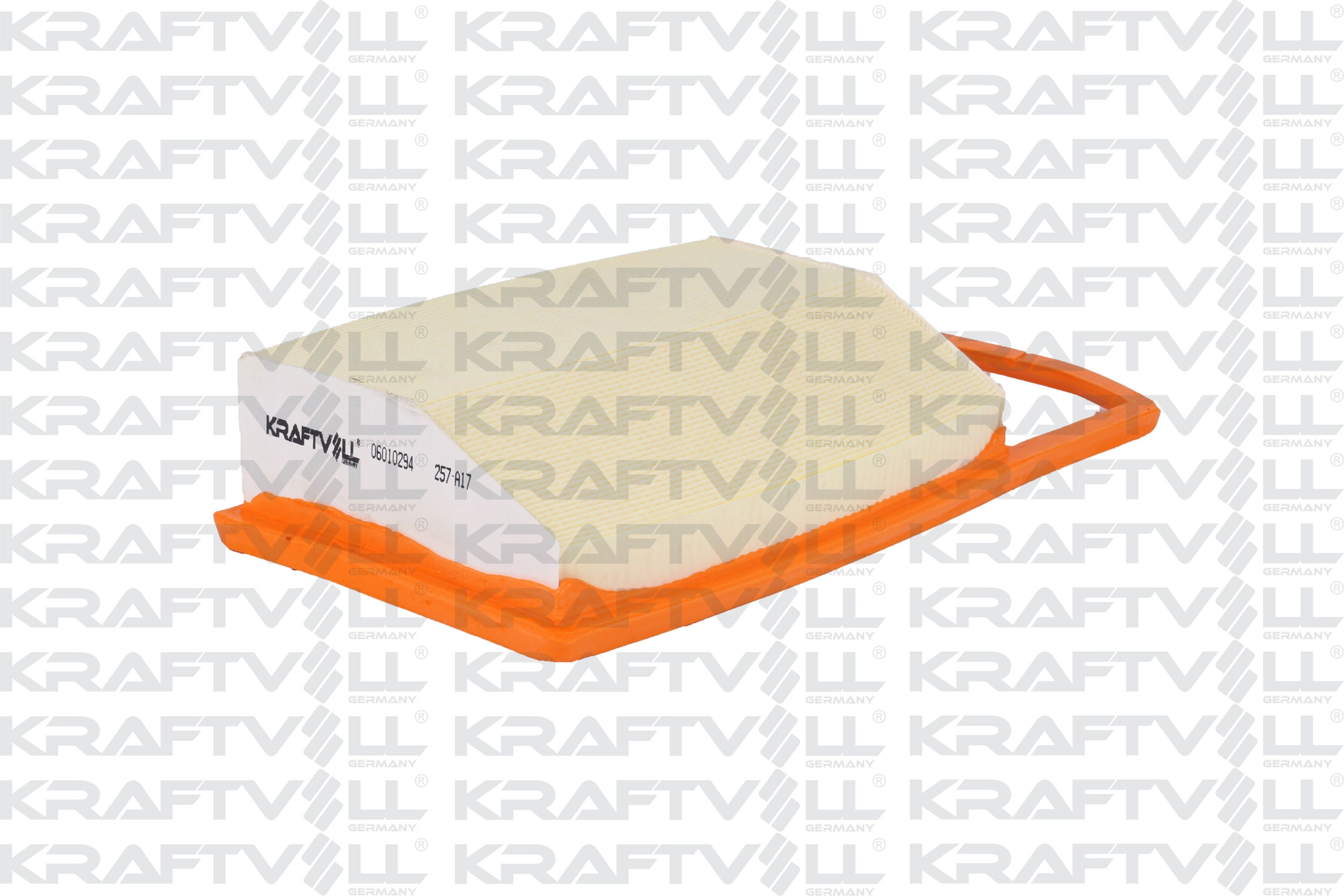 Air Filter (06010294)