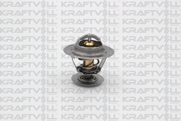 Thermostat, coolant (08110090)