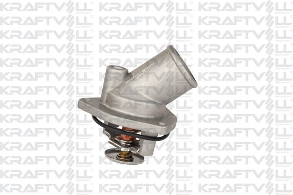 Thermostat, coolant (08100041)