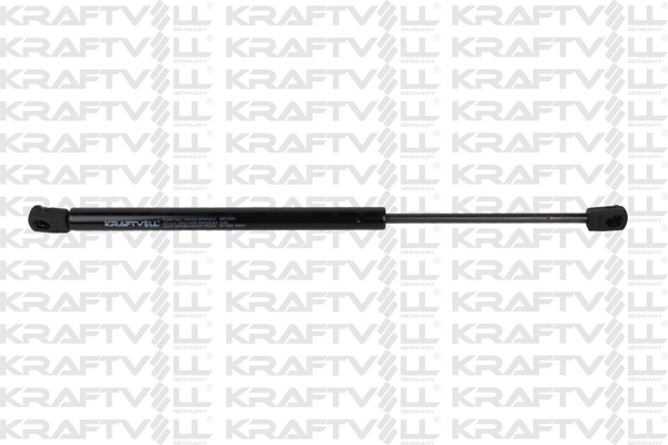 Gas Spring, bonnet (09010384)