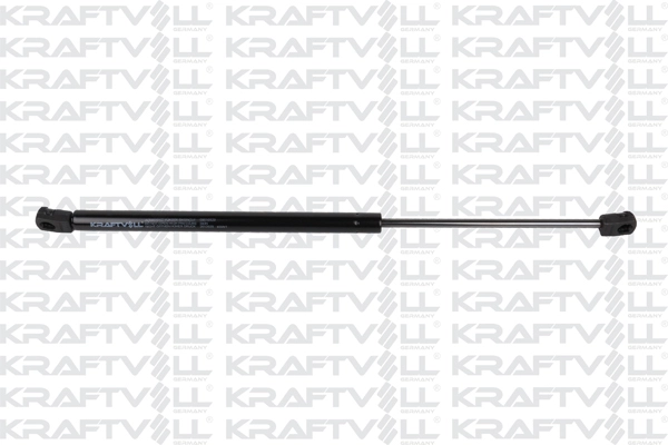 Gas Spring, boot/cargo area (09010529)